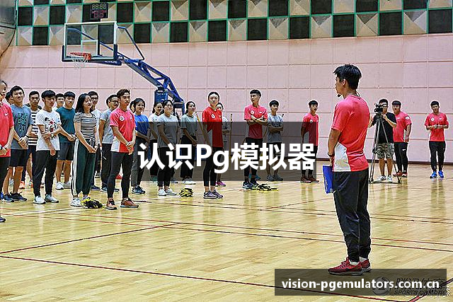 认识Pg模拟器